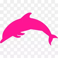 普通宽吻海豚图库溪海豚电脑图标剪贴画海豚