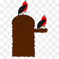鸟啄木鸟艺术