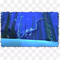 海马海洋生物水桌面壁纸-海马