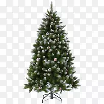 圣诞树，云杉，松树，冷杉-皮诺