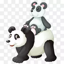 大熊猫熊