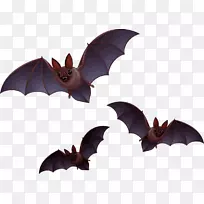 蝙蝠万圣节剪贴画-蝙蝠