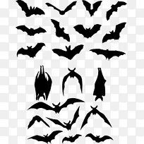 蝙蝠轮廓