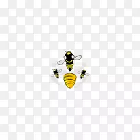 Werbeagentur gmbh蜜蜂广告昆虫营销理念