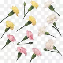 花卉设计切花花瓣花