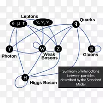 粒子物理学神粒子标准模型希格斯玻色子科学