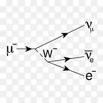 μ子电子中微子电子俘获-基本粒子