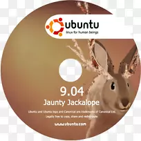 dvd光盘usb闪存驱动器磁盘存储ubuntu-dvd盒