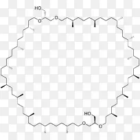 白线艺术点角字体角