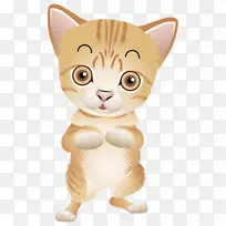 猫须家养短毛猫孟加拉猫