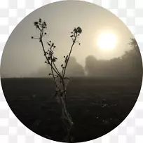桌面壁纸电脑天空电脑