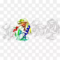 桌面壁纸电脑有机体剪贴画-电脑