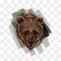 灰熊皮毛阿拉斯加半岛棕熊鼻熊