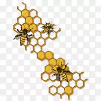 蜜蜂蜂巢画玛雅-蜜蜂