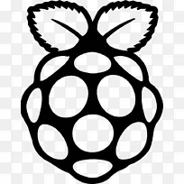 raspberry pi 3计算机图标-微博客