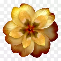 黄色花橙色花瓣剪贴画-花