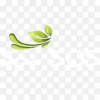 叶标识绿色桌面壁纸-叶
