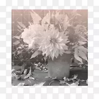 花卉设计花束单色花束
