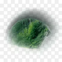 绿色桌面壁纸特写电脑