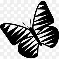 帝王蝶，昆虫，刷子，蝴蝶，轮廓-蝴蝶