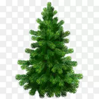 松木云杉剪贴画-圣诞树