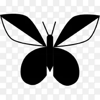 毛茸茸的蝴蝶昆虫对称剪贴画蝴蝶