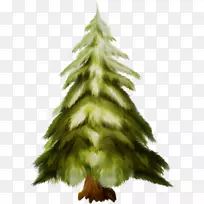 圣诞树，圣诞树装饰，冷杉，云杉，松树，圣诞树