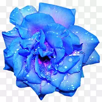 蓝玫瑰插花艺术