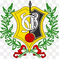 S.C.Bustelo S.C.标题：Esmoriz romarz F.C.-足球