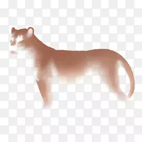 胡须，美洲狮，猫，狗-狮子