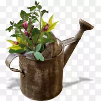浇水罐园艺花盆-杜布纳