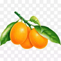 水果桌面壁纸橘黄色