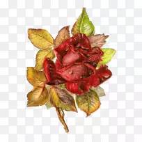 玫瑰纸贴纸剪贴画-维多利亚时期的花