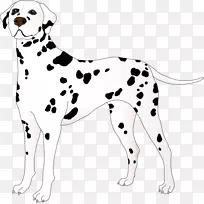 达尔马提亚犬小狗繁殖伴犬夹艺术-小狗