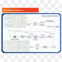 石油工业下游加工图.生物制药