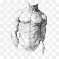 艺术系学生人体解剖学艺术家人体解剖学人体肌肉解剖学
