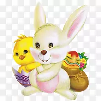 复活节兔子复活节快乐！兔兔