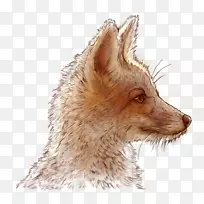 红狐须、毛、狗、动物-插图小王子