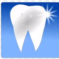 人类牙齿美白剪贴术细菌牙齿