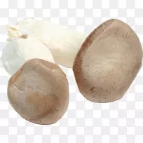 平菇