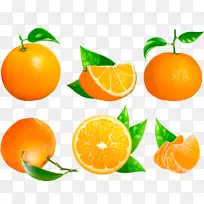 金门莲橘子血橙苦橙柚子