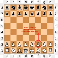 世界国际象棋锦标赛棋手抽签游戏-国际象棋