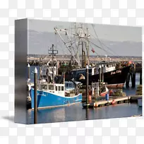 捕捞拖网渔船普罗文敦海角鳕鱼渔船摄影-鳕鱼