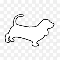 胡须猫犬科狗白底猎犬