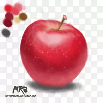 巴巴多斯樱桃天然食品辅食水果超级食品玫瑰苹果