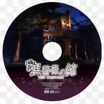 dvd stxe6fingr EUR品牌-dvd