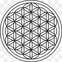 神圣几何学重叠圆网格Metatron的立方体t恤