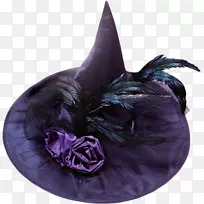 女巫帽羽毛紫色服装-羽毛