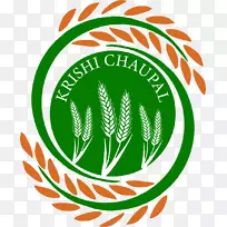 农业沙帕尔，喜马恰尔邦农民拉贾斯坦邦-小麦