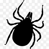 蜱传播疾病蚊子莱姆病蚊虫叮咬和叮咬蜱